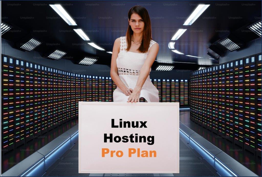 linux hosting windows hosting provider in Nashville Tennessee